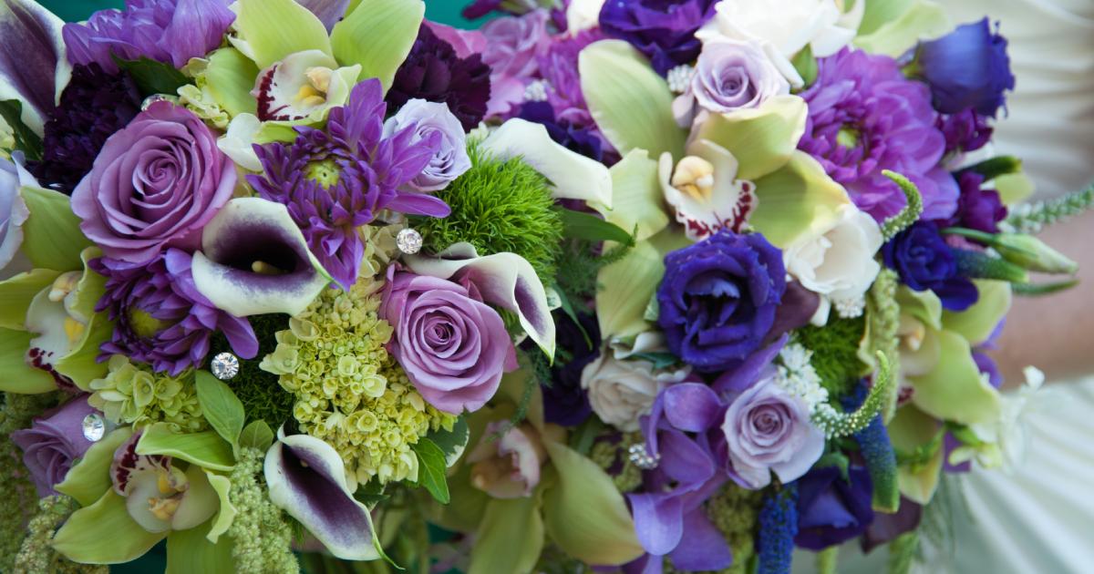 CT Wholesale Roses, Mini Calla Lilies, Orchids, Lisianthus, Pompons, Lilies, and Florist Supplies