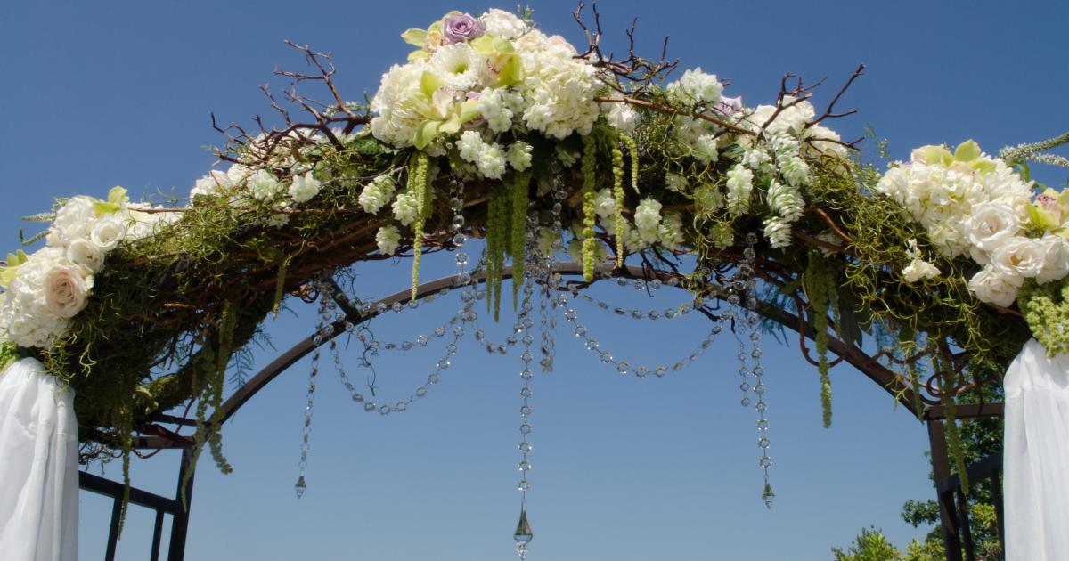 Connecticut Wholesale Supplier Of Hydrangia, Roses, Curly Willow, Peonies, and Wedding Flowers