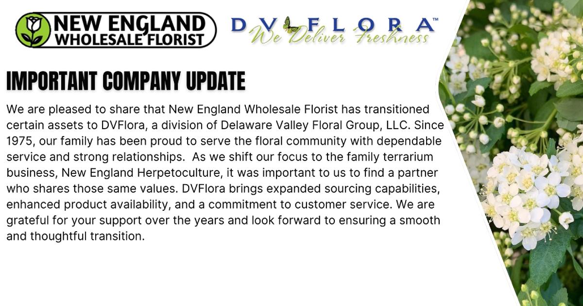 Connecticut Wholesale Supplier Of Hydrangia, Roses, Curly Willow, Peonies, and Wedding Flowers