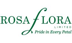 Rosaflora Gerberas, Lisianthus, and Snapdragons in Connecticut