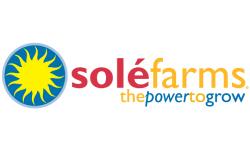 Sole Flowers in Connecticut