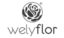 Welyflor Roses and Flowers in CT